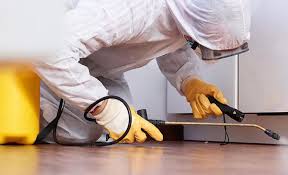 Emergency Pest Control in Hidden Meadows, CA